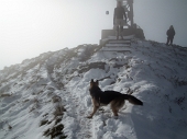13 Palla di neve per Dori